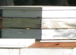 bee hive