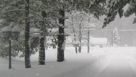 snowy
